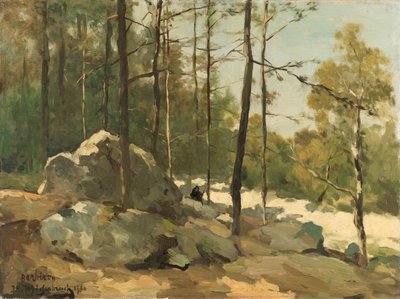 Wooded View poblíž Barbizon Výhled na les poblíž Barbizonu od Johan Hendrik Weissenbruch