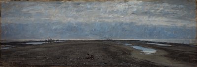Skawská kosa. Skagen od Johan Krouthén