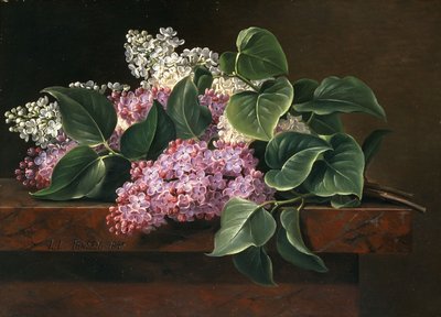 Šeřík na římse, od Johan Laurents Jensen
