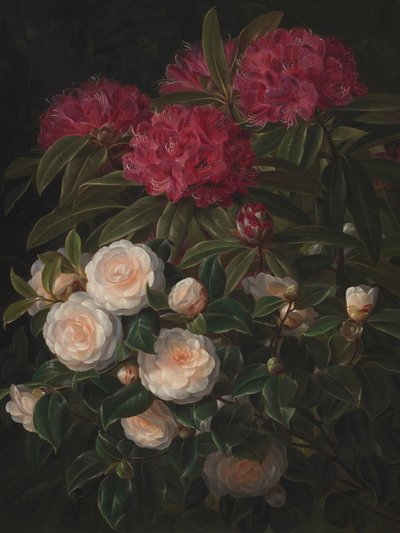 Kamélie a rododendrony, autor: Johan Laurentz Jensen od Johan Laurentz Jensen