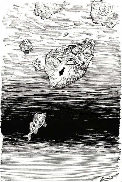 Ryby pod plastem od Johan Liewendahl