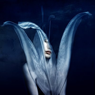 Krásná monstra 3, 2018 (digitální fotoart) od Johan Lilja