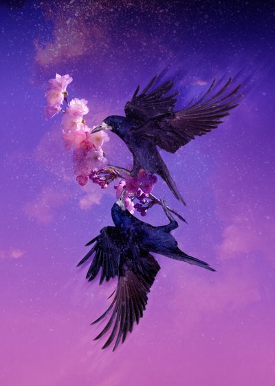 Ptačí království 5, 2018 (digitální fotoart) od Johan Lilja