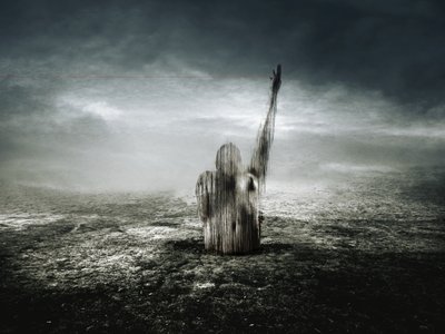 Červená čára, 2013 (fotografie) od Johan Lilja