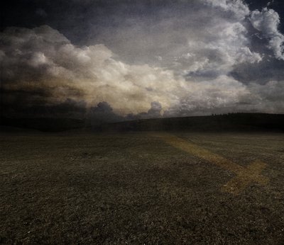 Tulipán, 2015 (fotografie) od Johan Lilja