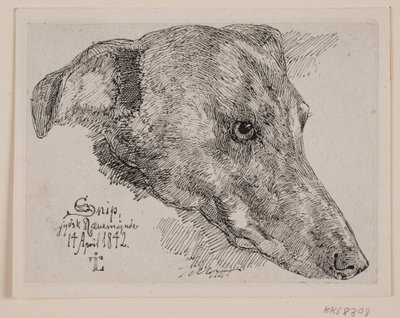 Dánsky: Hundehoved, Snip od Johan Lundbye