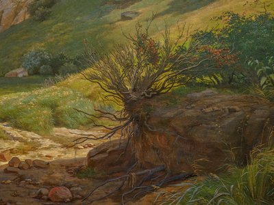 Dánské pobřeží, pohled z Kitnæs na fjord Roskilde, Zéland od Johan Thomas Lundbye