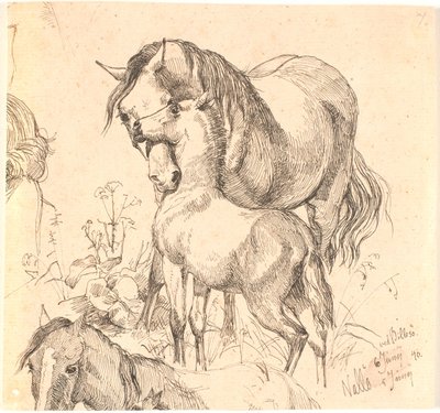 Klisna a hříbě, f.n. studie koně (hřbet a hlava) a ucho hříběte od Johan Thomas Lundbye