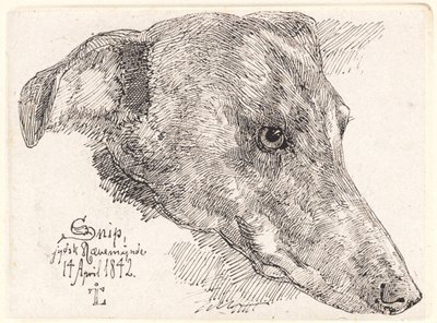 Hundehoved, Snipe od Johan Thomas Lundbye