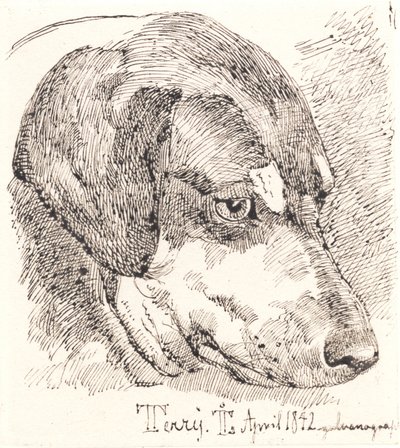 Hundehoved, Terry od Johan Thomas Lundbye