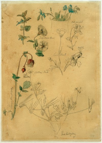 J. Th. Lundbye, Plant Study od Johan Thomas Lundbye