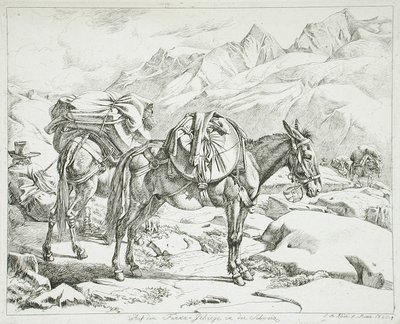 Pohoří Furka, Švýcarsko od Johann Adam Klein