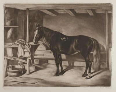 Kůň ve stáji od Johann Adam Klein