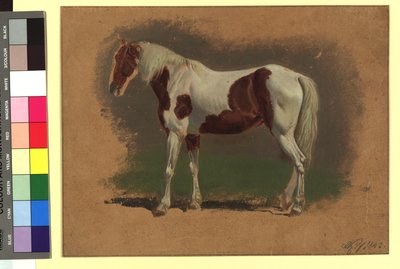 Pferdestudie od Johann Adam Klein