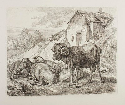 Beran a ovce za domem od Johann Adam Klein