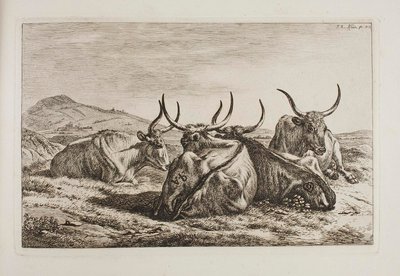 Ležící voli od Johann Adam Klein