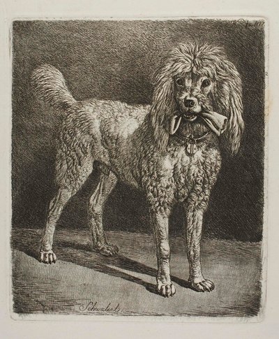  od Johann Adam Klein