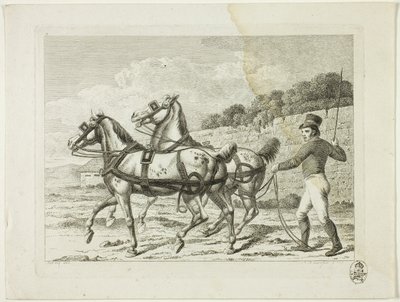 Jezdecká škola a koně od Johann Adolph Darnstedt