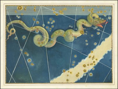 Hydra - Johann Bayer od Johann Bayer