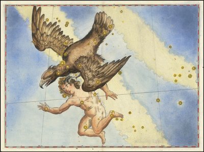 Johann Bayer - Aquila od Johann Bayer