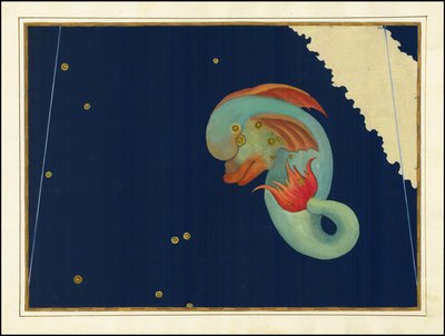 Johann Bayer, Delphinus od Johann Bayer