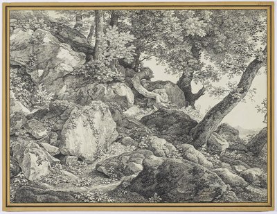 V parku Palazzo Chigi, Ariccia, 1818 (grafit a černá křída na papíře) od Johann Christian Reinhardt