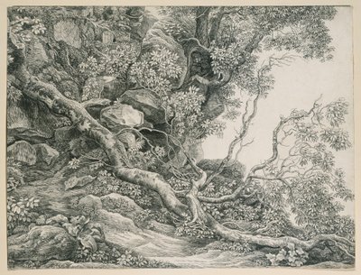 Stromy na skalnatém svahu od Johann Christian Reinhart