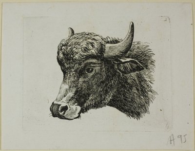 Buffalo Head Facing Left, od Die Zweite Thier Folge od Johann Christian Reinhart