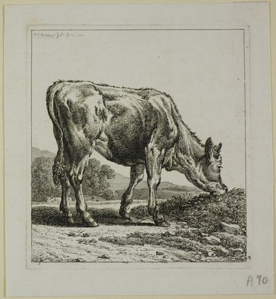 Krmení telat, od Die Zweite Thierfolge od Johann Christian Reinhart