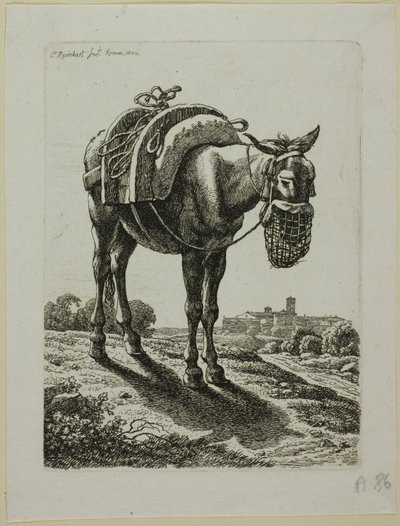 Feeding Mule - Front, z Druhé posloupnosti zlodějů od Johann Christian Reinhart