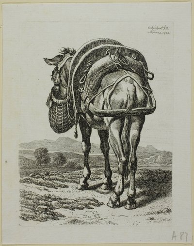 Feeding Mule - zadní, od Die Zweite Thier Folge od Johann Christian Reinhart