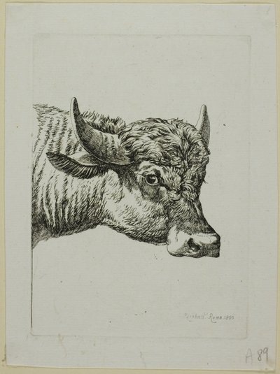 Hlava buvola z Die Zweite Thiernahme od Johann Christian Reinhart