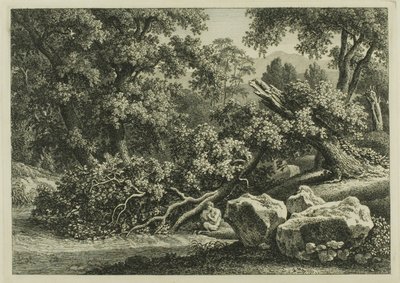 Krajina s Pan hrající na flétnu od Johann Christian Reinhart