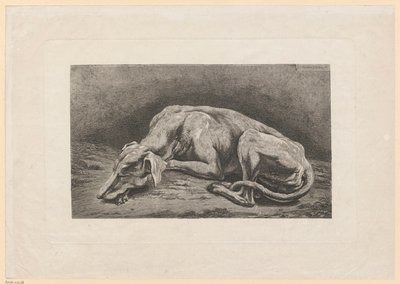 Spící chrt od Johann Christian Reinhart