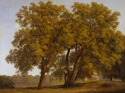  od Johann Christian Reinhart