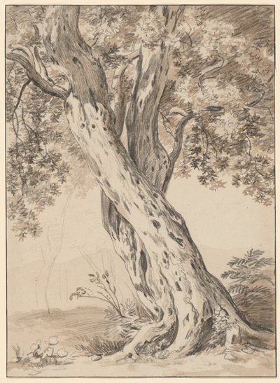 Dva propletené duby od Johann Christian Reinhart