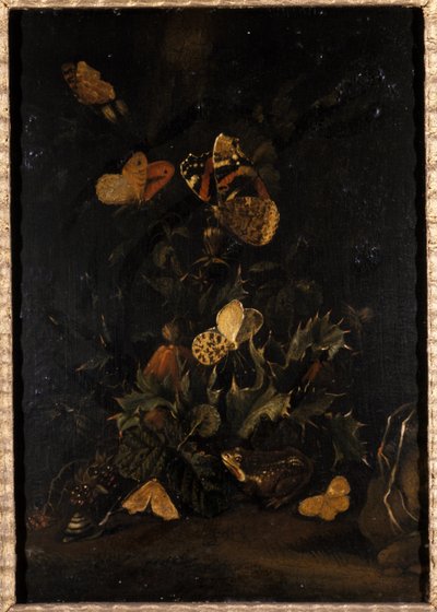 Květiny s motýly a ropucha (olej na dubovém dřevě) od Johann Christian Thomas Winck
