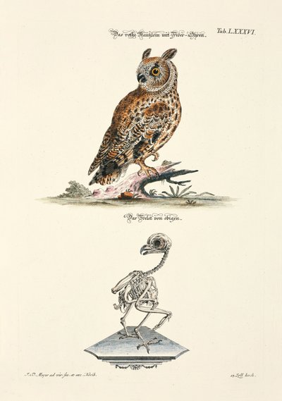  od Johann Daniel Meyer