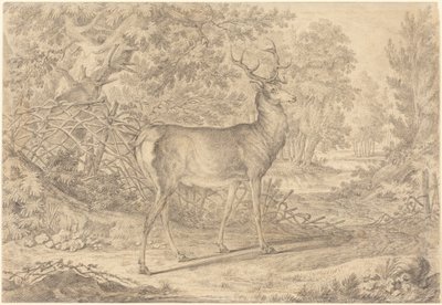  od Johann Elias Ridinger
