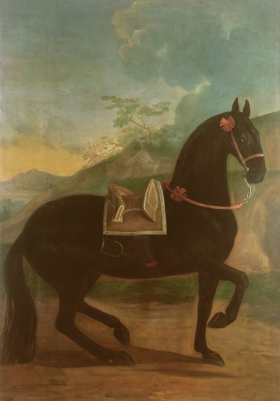 Černý kůň se španělským sedlem od Johann Georg Hamilton