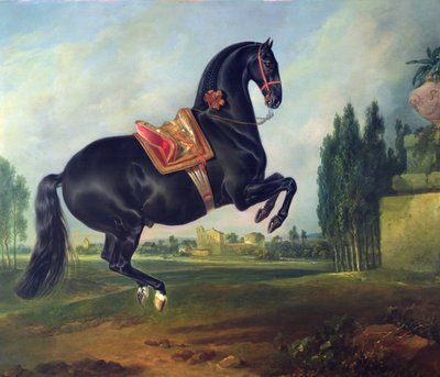 Černý kůň předvádějící Courbette (podrobnosti viz 264709) od Johann Georg Hamilton
