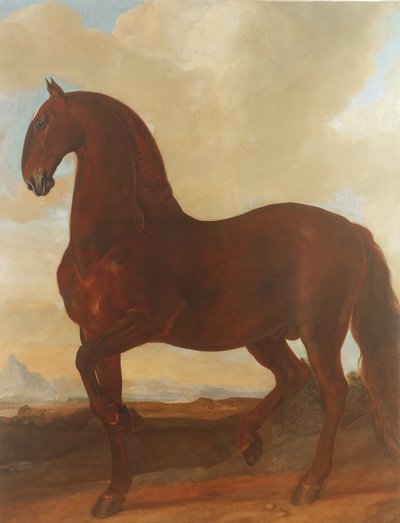 Hřebec Bay v hřebčíně Eisgruber od Johann Georg Hamilton