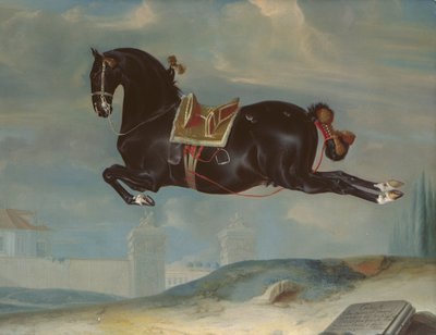 Černý kůň Curioso předvádí Capriole od Johann Georg Hamilton