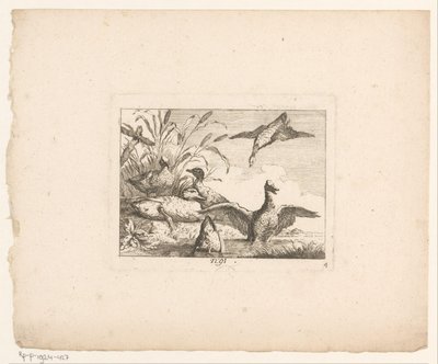 Krajina se šesti kachnami Ptáci v krajině (název série) od Johann Georg Hertel (I) (possibly)