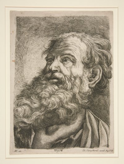 Mužská hlava (apoštola?) od Johann Georg Hertel