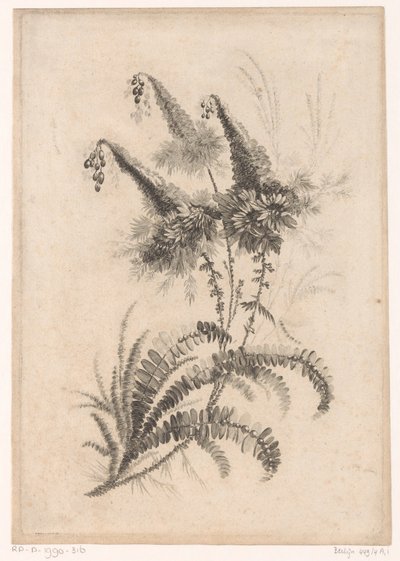 Puntige bloemen Sbírka květin nové chuti; Pro Manufacture des Etoffes de Perse (název série) od Johann Heinrich  Hess