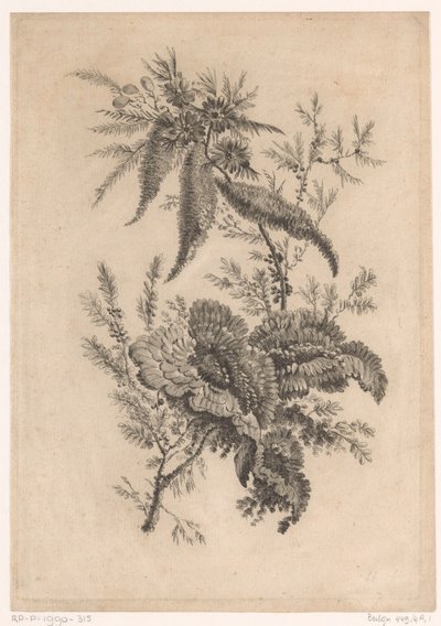 Divoký roosachtigen Sbírka květin nové chuti; Pro Manufacture des Etoffes de Perse (název série) od Johann Heinrich  Hess