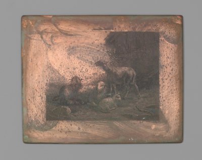 Čtyři ovce od Johann Heinrich Maria Hubert Rennefeld (signed by artist)