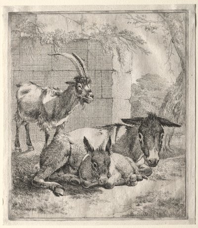 Koza a osli. od Johann Heinrich Roos