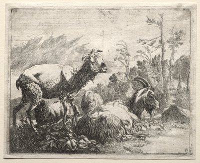Kozy od Johann Heinrich Roos